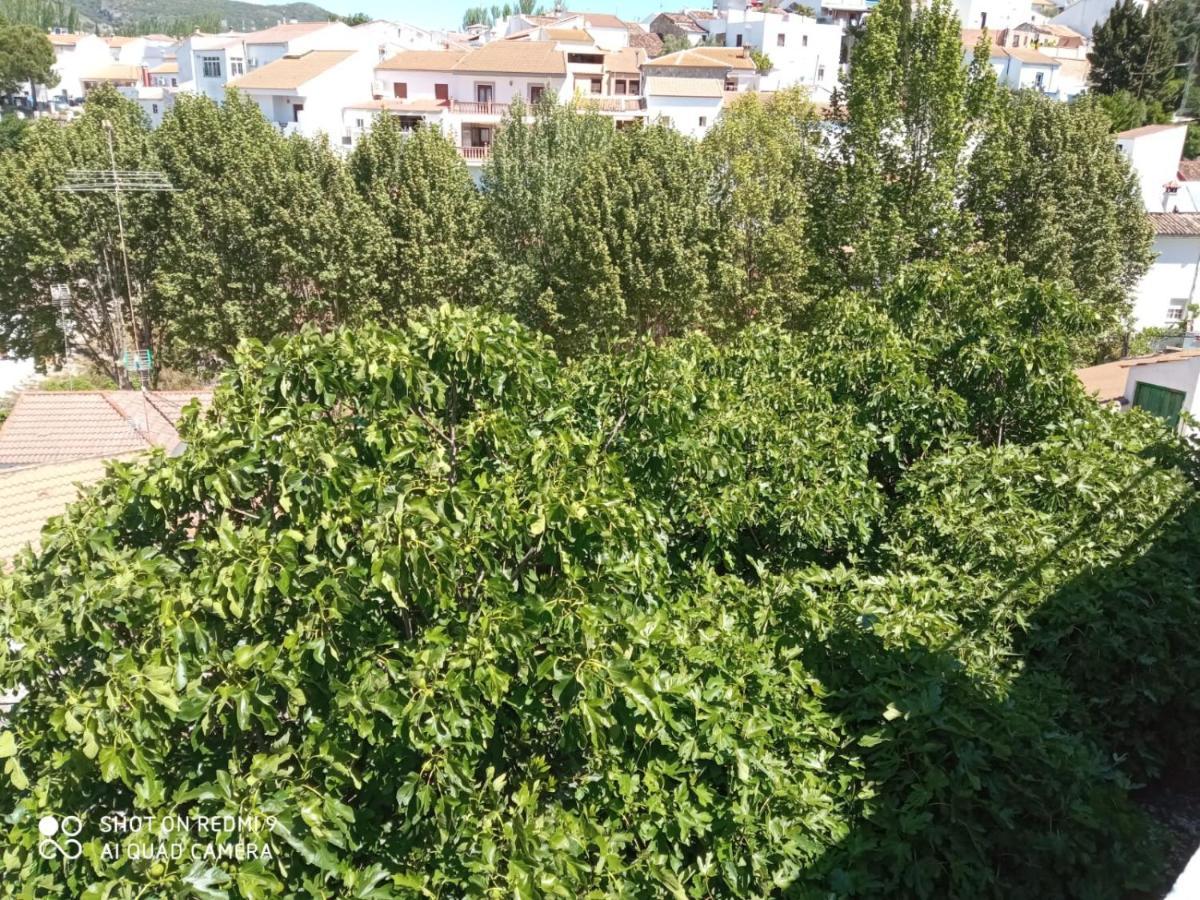 Villa Elisabeth Con Piscina Climatizada Chimenea Y Terraza Arriate Eksteriør billede